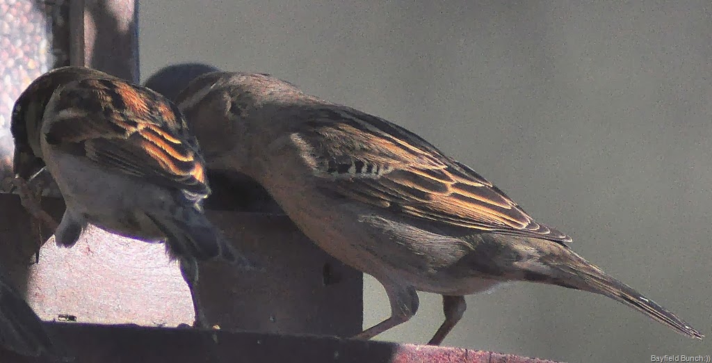 [DSC_0085%255B3%255D.jpg]