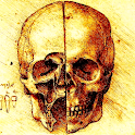 BoneCast logo