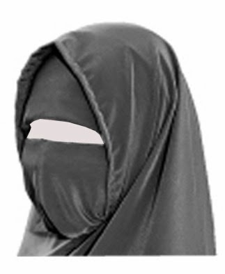 [Niqab%255B3%255D.jpg]