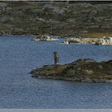 Totensee, Grimselpass