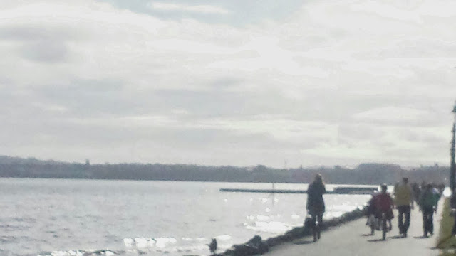 20140301 112526%25257E2