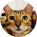 John Zou profile picture