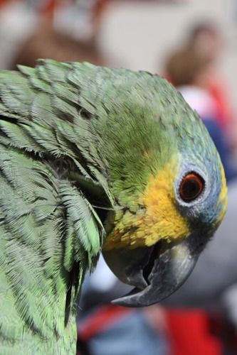 20100420 (2) (Large)