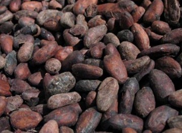 Cacao-roasted