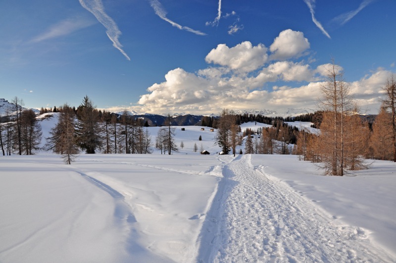 DSC_8148.JPG DSC 8148
