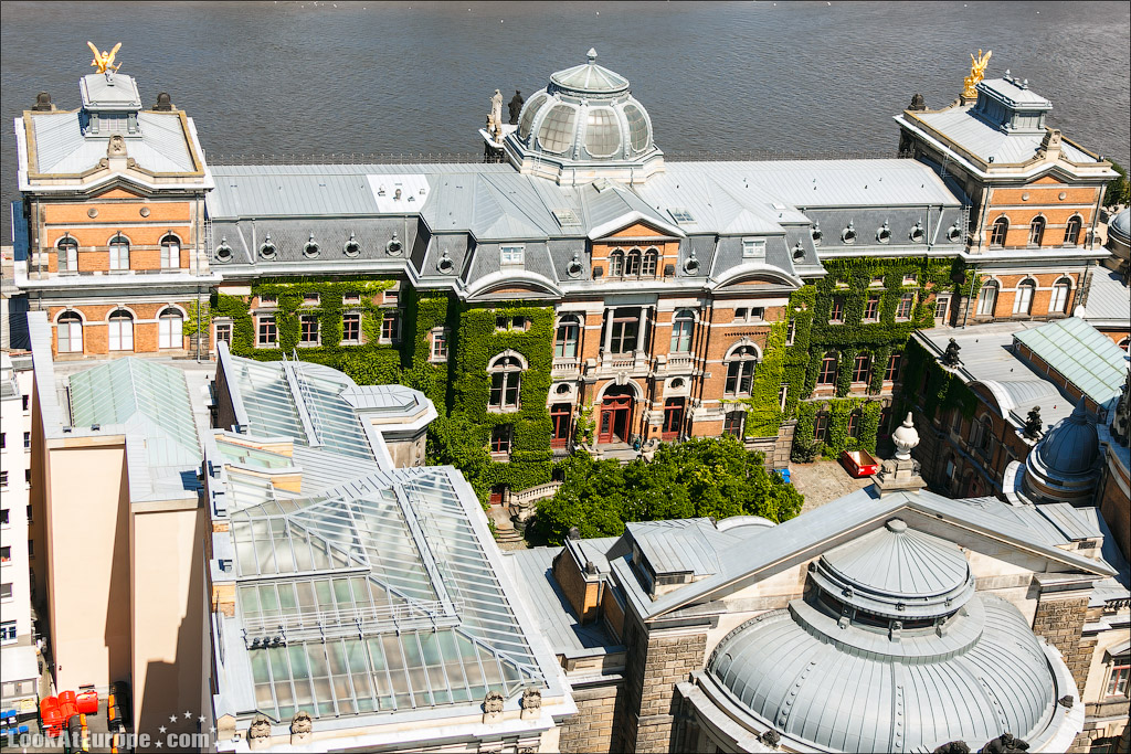 Дрезденская академия изобразительных искусств