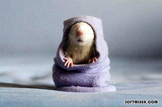 [408717_511818562173222_4142983_n%255B3%255D.jpg]