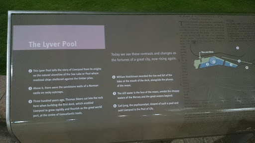 The Liver Pool