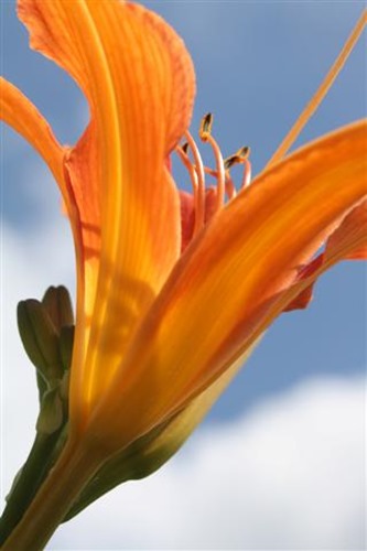 20100708 (2) (Small)