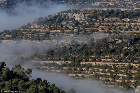 Racó de les PinedesParc Natural del Montsant,Cabacés, Priorat, Tarragona