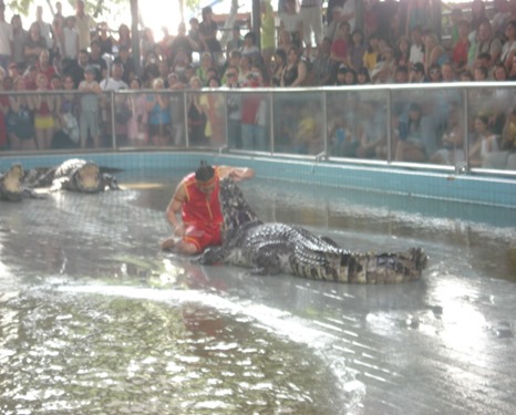 cath crocodile show at thailand