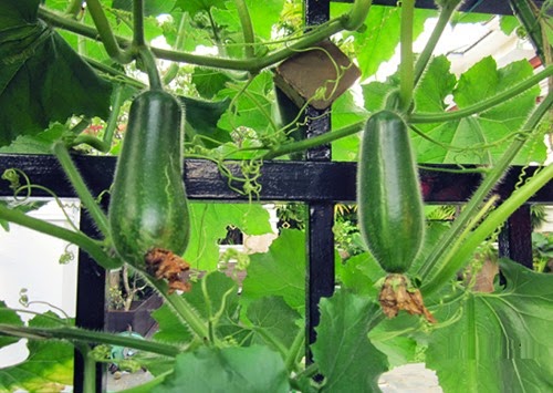 [clip_image006%255B3%255D.jpg]