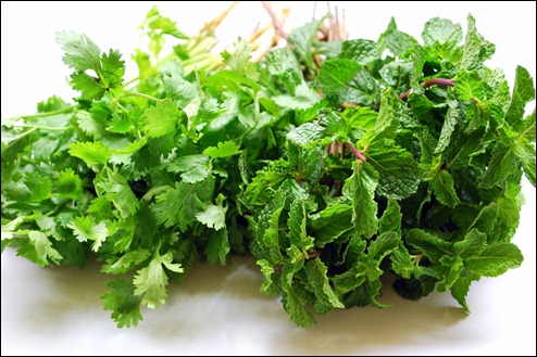 Mint and coriander Mint and coriander