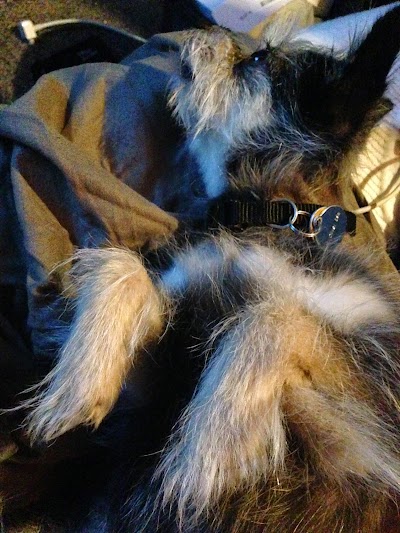 2014-08-24 23.05.53.jpg