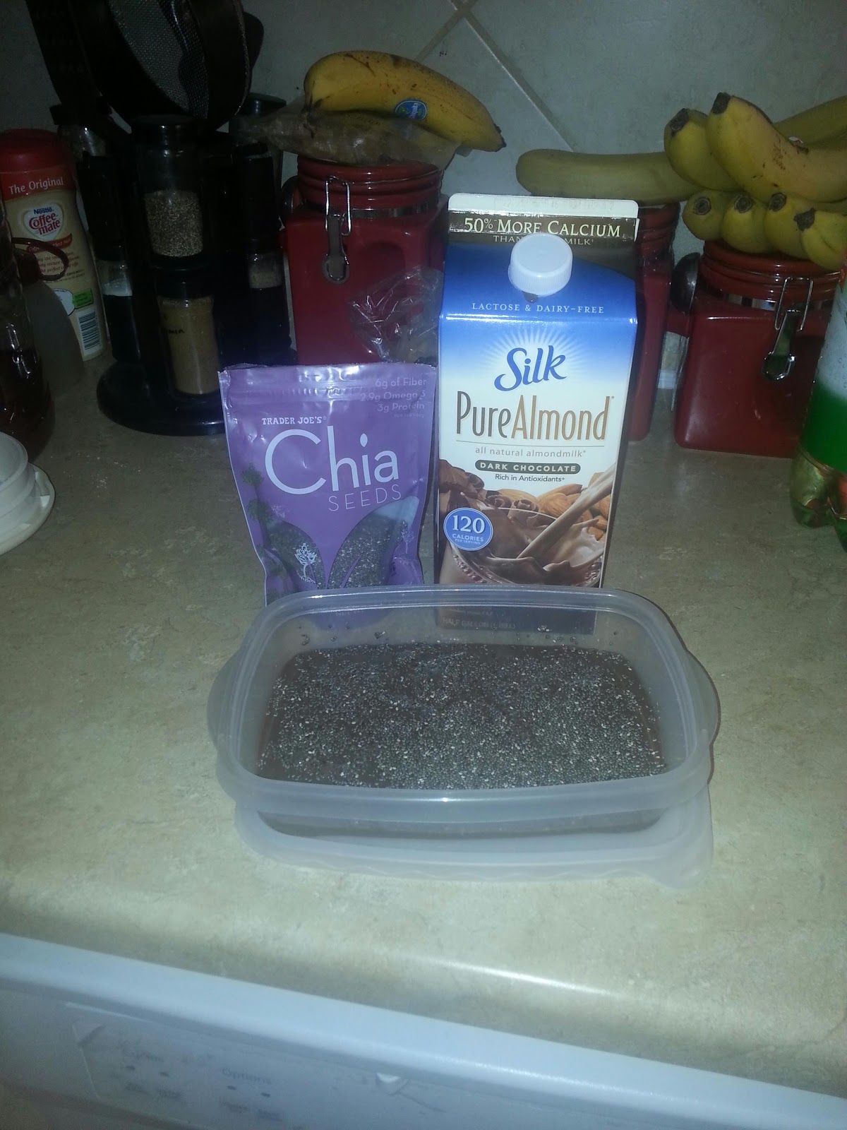 Roxy's Ramblings Chia seed pudding
