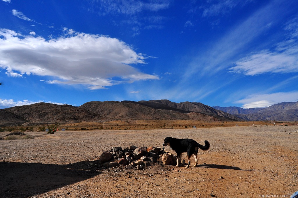 [DSC_0097%255B3%255D.jpg]