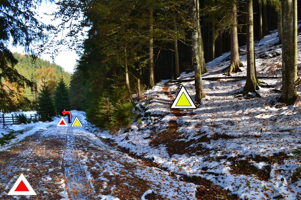 [DSC_04053.jpg]