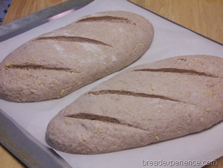 red-wine-and-cheese-bread 013