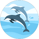 Andreas Anton profile picture