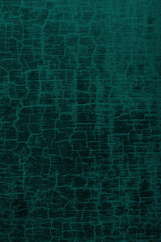 4391590762_1f51469426