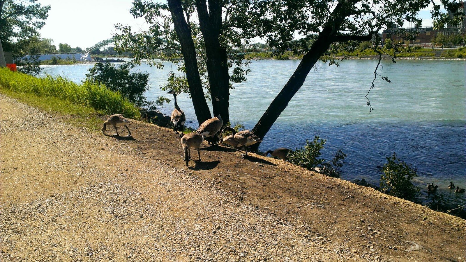 cycle canada Strathmore, Day 17