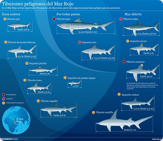 tiburones