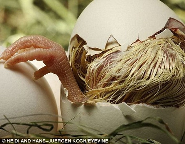 [first_moments_of_life_11%255B3%255D.jpg]