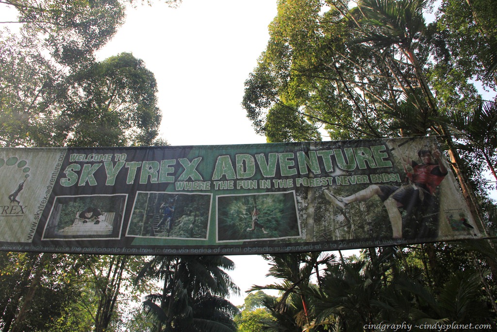 [SkyTrex194.jpg.webp]