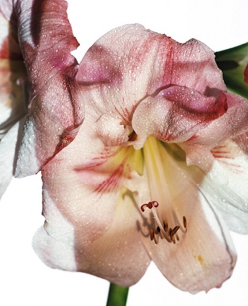 [HB_2002%255B3%255D.jpg]