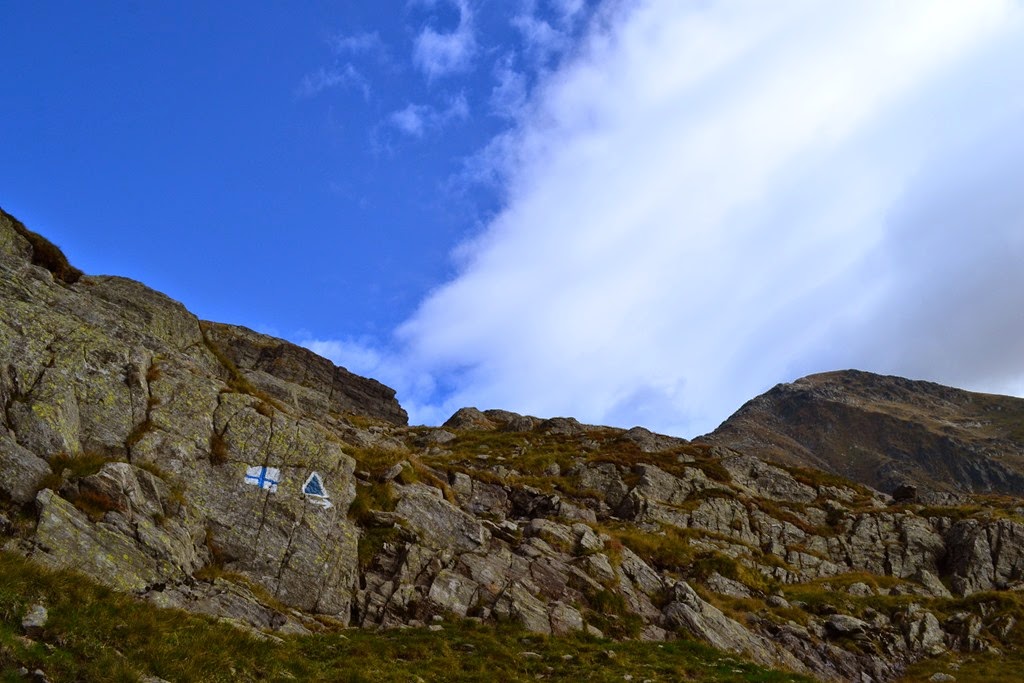 [DSC_02313.jpg]