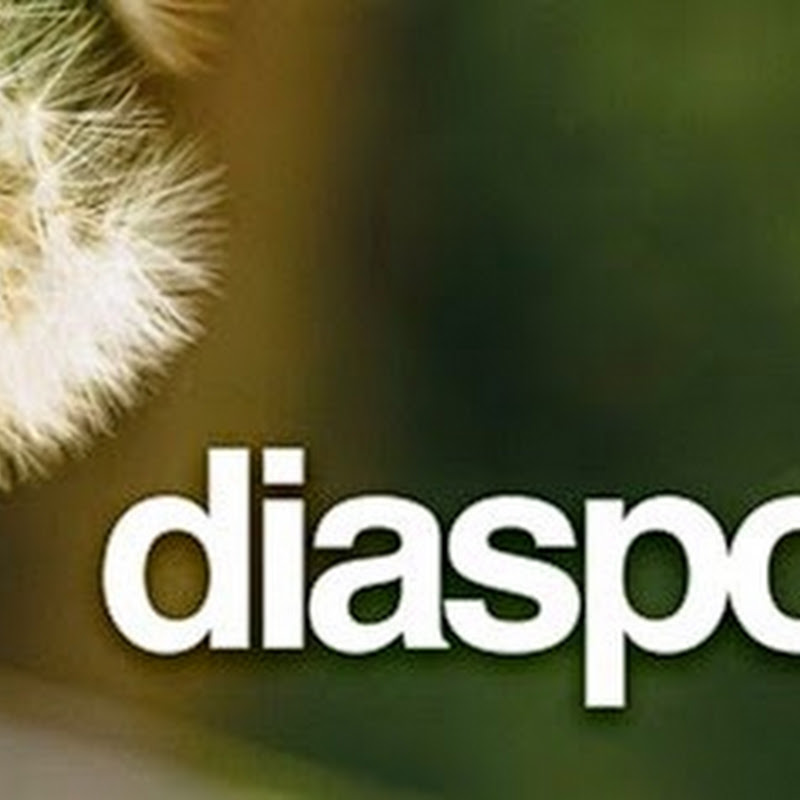 Nueva versión de Diaspora la red social de código abierto.