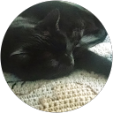 Elizabeth Gaboury profile picture