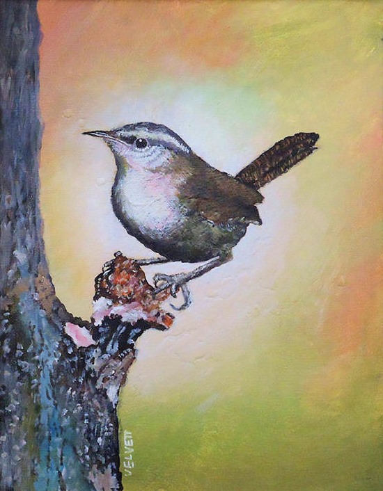 Wren bird painting