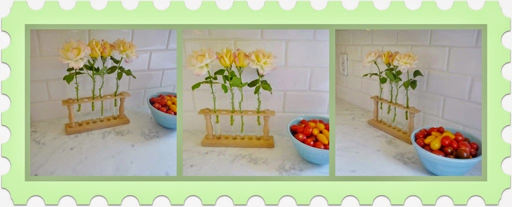 [Ribbet%2520collage%2520Summer%2520Flowers%2520and%2520tomatoes%255B5%255D.jpg]