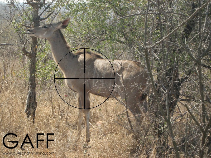 Kudu-hunting-shot-placement (4).jpg