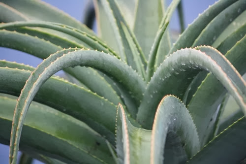 20100301 (3) (Large)