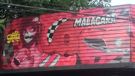 Elefante Rojo Mala Cara Mural