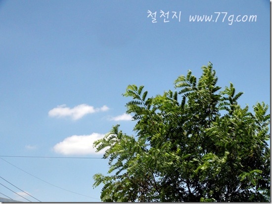 철천지DSC06701-20120627-134552