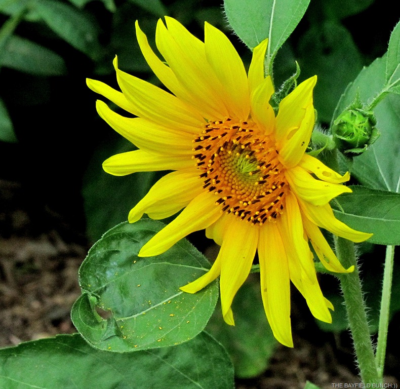 [IMG_0206%255B4%255D.jpg]