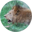 Image Google de Bruneton Alain