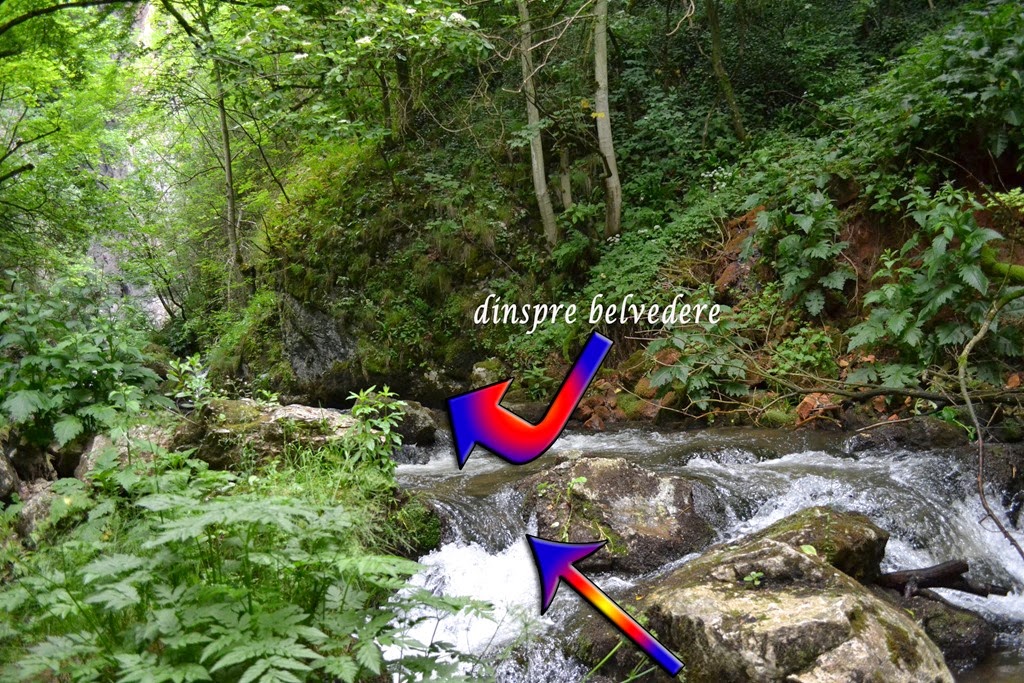 [DSC_4255%255B3%255D.jpg]