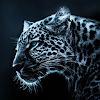 Leopard Atom Theme