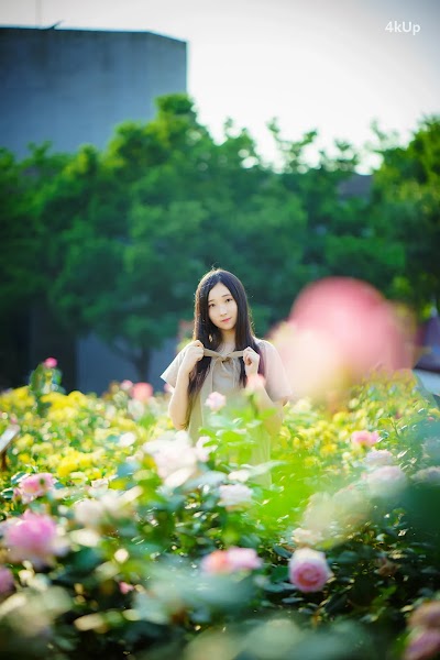 Bambi (밤비) Lacerta Photography