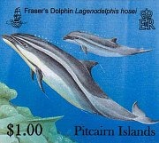 [dolphins100c%255B3%255D.jpg]