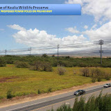17 - View of Kealia Wildlife Preserve with Proposed Power Poles.jpg