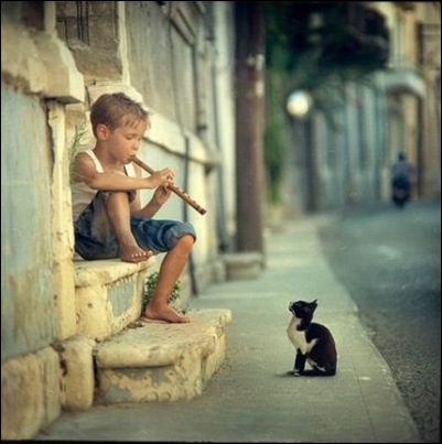 Pied Piper in Training