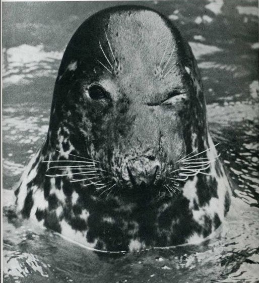 [clip_image034%255B4%255D.jpg]