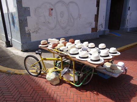19. Panama hat.JPG