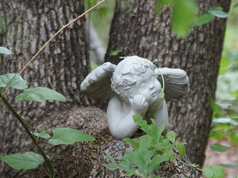 [cherub%255B12%255D.jpg]