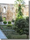 IMG_8268 IMG_8268